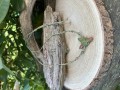 IMG_2596.jpeg