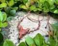 IMG_2555.jpeg