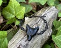 IMG_4270.jpeg