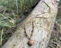 IMG_6951.jpeg