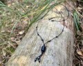 IMG_8072.jpeg