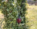 IMG_6383.jpeg