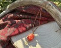 IMG_6396.jpeg