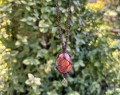 IMG_6444.jpeg
