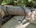 IMG_8262.jpeg
