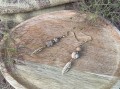 IMG_1042.jpeg